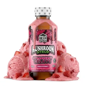 tre house Strawberry Gelato Mushroom Syrup